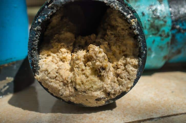 Overflowed grease trap Overflowed grease trap